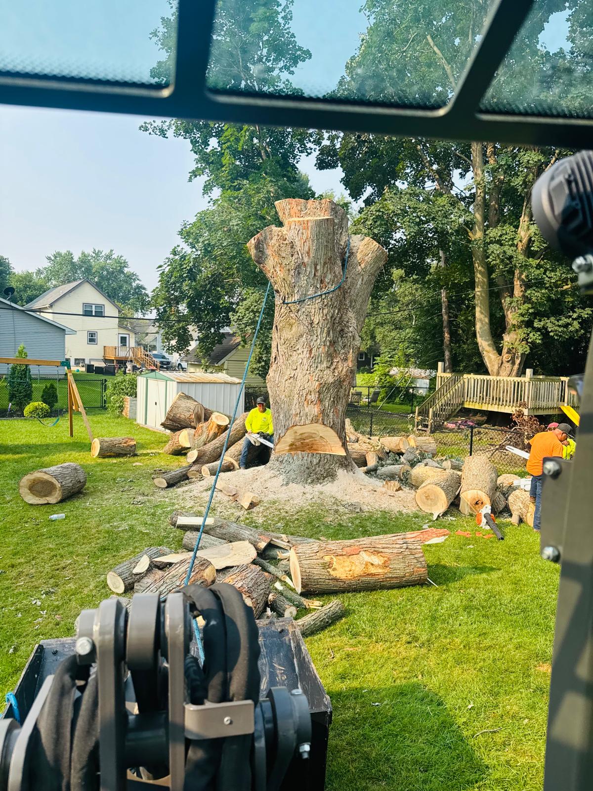 SANCHEZ TREE SERVICE LLC at work